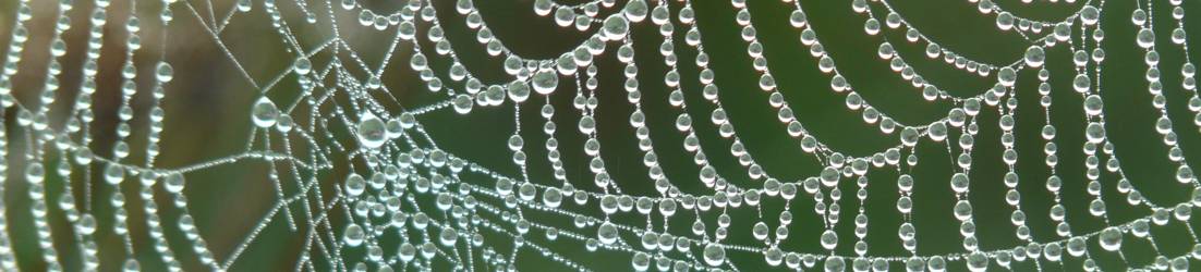 Netzwerke sind wichtig für spannende Reisen